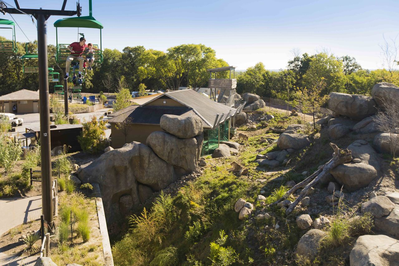 Exploring the Wild World of the Omaha Zoo 10 Tips for an